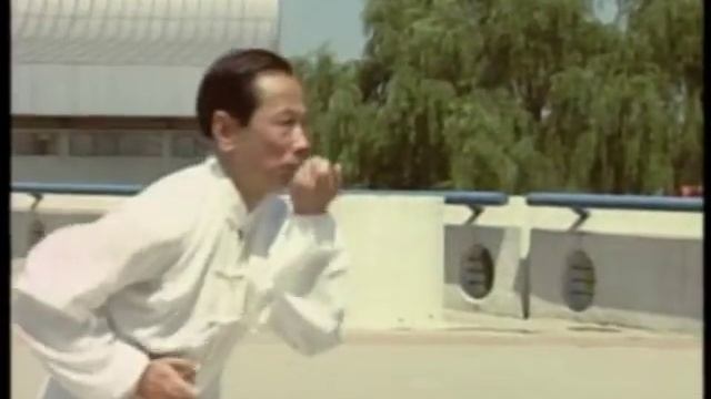 100 лучших мастеров ушу Китая. Ся Бохуа  (синъицюань)