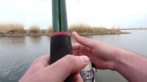 Охота Za Линями. Рыбалка Весной 2022. Донки, Поплавок, Советы.