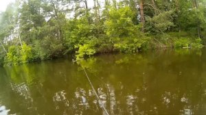 РЫБАЛКА НА Р. ПСЕЛ. НЕОЖИДАННЫЙ ГОЛАВЛЬ, ГРИБЫ И ПРОЛЕТНАЯ ЩУЧЬЯ РЫБАЛКА