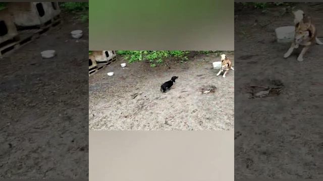 добрые и счастливые моменты, которые произошли❤❤❤ смотреть онлайн