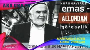 ТАЪЗИЯ.  ШАЙХ АЛОВИДДИН МАНСУР
