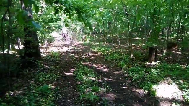 Амахастла! Днепр vs Иж (Звук 16+) "Route-34" смотреть онлайн