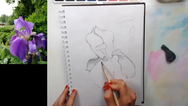 1. Рисуем вместе ирис в прямом эфире | Скетч лето 2020! смотреть онлайн