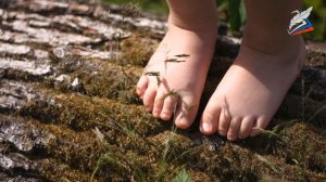 6 кл. Закаливание (Урок ФК)