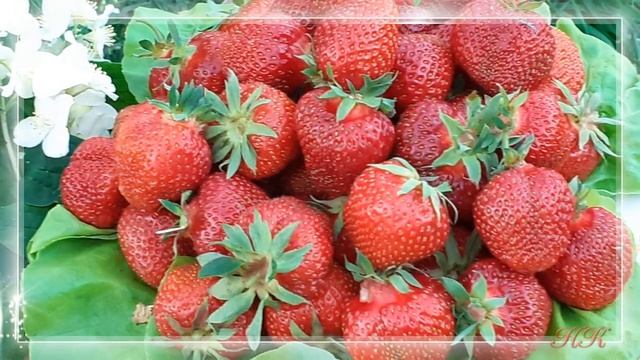 Здоровья Вам. Видео открытка с пожеланием здоровья.  Берегите себя