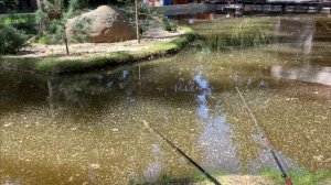 Бетон или пленка.Из чего делать пруд?Рассуждения на берегу.