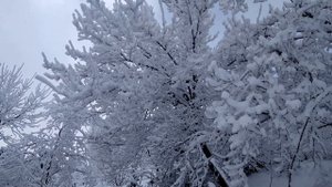 Сулейман - Стальский район село Асаликент