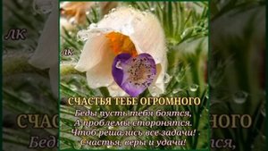 с днём рождения