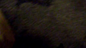 Вставка динамика в приказник