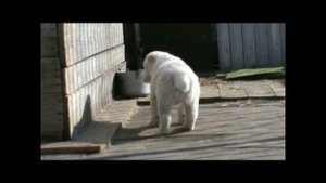 Много- много лет назад