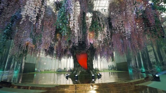 Сердце Леса 1 мин. Промо 4К, Panasonic S1. смотреть онлайн