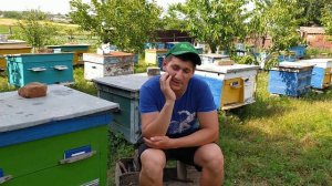 С чего начать пчеловодство. И стоит ли вообще им заниматься. 4.07.2021