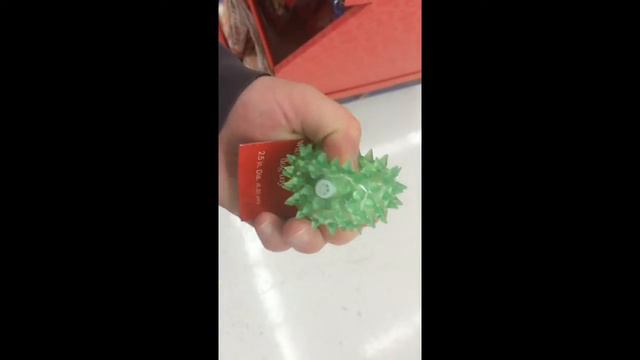 Squeak Toy fail. смотреть онлайн