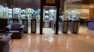 Эмирейтс Dubai Connect