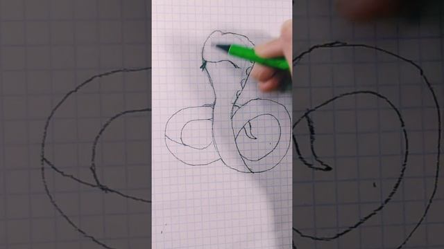 Как нарисовать змею. Видео урок. смотреть онлайн