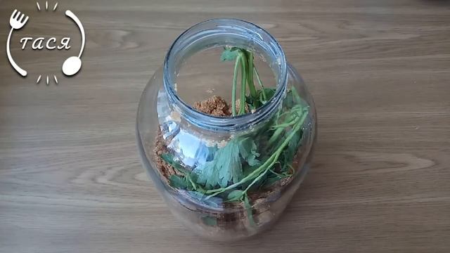 Квас из отрубей пшеничных.Кислый квас.Квас для окрошки.Для Замы.