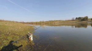 Рыбалка на карася в Подмосковье.
