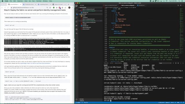 Hyperledger Fabric Certificate Authority on Kubernetes (k8s) смотреть онлайн