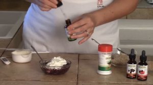 Sugar Free Blueberry Greek Yogurt Recipe Made with Stevia extract-Tastes Like Cheesecake