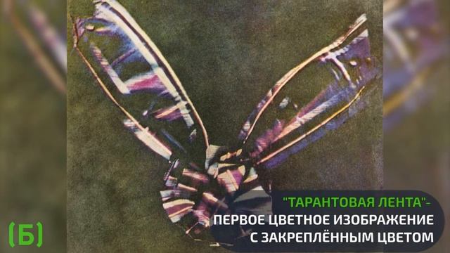 Камера в широком смысле: эволюция тиражирования изображений смотреть онлайн