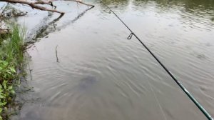 #55 #мормышинг | Уклейка на спиннинг | Dayo prestige | Tsurinoya fs500 | Whitebait 0.8 | Polaris 1