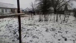 Продолжаем строить денник для пони