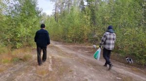 ПУТЕШЕСТВИЕ В КАРЕЛИЮ с животными: кошка и собаки (часть 2)