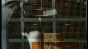 Человек и Закон 2006 12 21