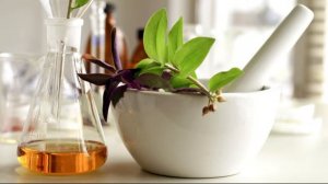 Stevia Natural Sweetner | Full Information About Stevia Benefits And Side Effects | Farm Exporters