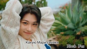 Stray Kids послышалось (Time out)