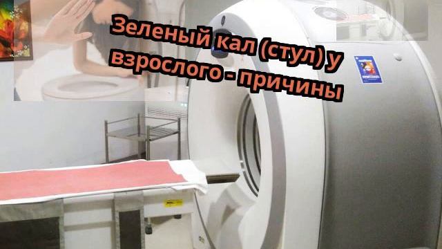 Зелёный кал у взрослого человека. Изменение цвета кала. Лечение зеленого кала у взрослого человека. Нормальный кошачий кал. Лечение зеленого кала у взрослого человека.