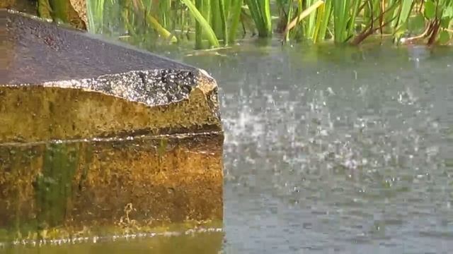 Canon IXUS 135 Panning and Zoom смотреть онлайн