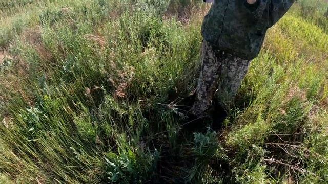 Поиск биолокационной рамкой металлолома.Единственное видео.