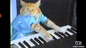 Кот Играющий На Синтезаторе (Keyboard Cat) Мем | -Мемы-