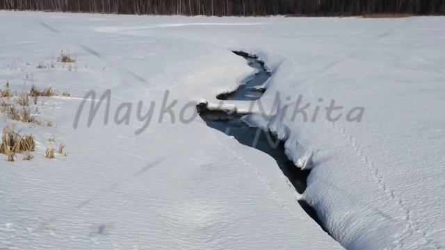 Flying in winter over a swamp covered with forest. Small river in the snow, Aerial View смотреть онлайн