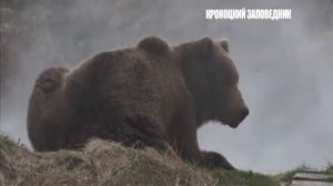 Заповедные истории - Кроноцкий заповедник