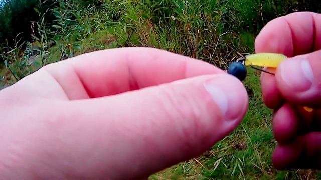 Микроджиг в затоне реки Вологды. Щука, язь, окунь не дают скучать... смотреть онлайн