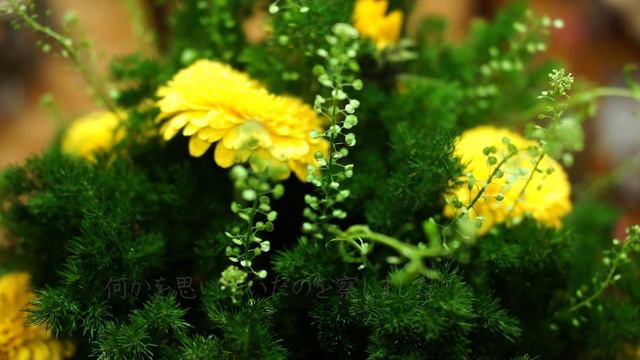 florist vlog #54【一人暮らし花屋のお花制作日記 クリスマスツリー編】～Merry Christmas～　　크리스마스 смотреть онлайн