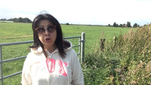 ОБЕДАЕМ С АЮРВЕДОЙ. АРБУЗ смотреть онлайн