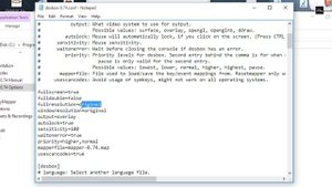 How to make DOSBox full screen