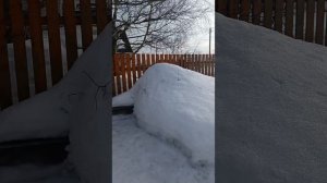 Высота снега в Московском селе/4 марта 2024