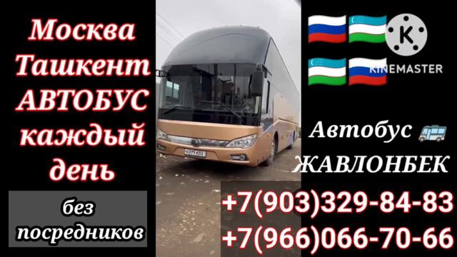 москва ташкент такси, москва ташкент автобус, россия узбекистан автобус.#автобус #такси #россия #