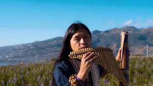 WE ARE THE WORLD -  RAIMY SALAZAR - Panflute Cover Instrumental - Beautiful Soul Sound