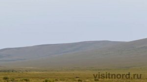 Поселения Чукотки. Куда поехать и что посмотреть в континентальной части Чукотки