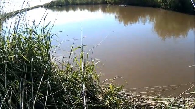 р.Каргат! Июнь 2022. Рыбалка! смотреть онлайн