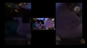 Песня с канала Анука Давайка поставьте лайк