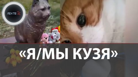 Кот Кузя - символ всех замученных животных| Памятник убитому живодерами в Петербурге | Где находится
