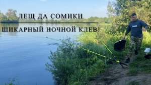Лещи да сомики.Шикарный ночной клев!