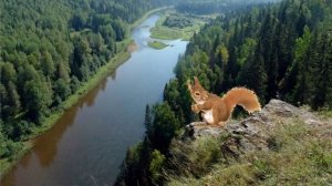 Физминутка "Наш Край Красноярский - ты сердце России...!"