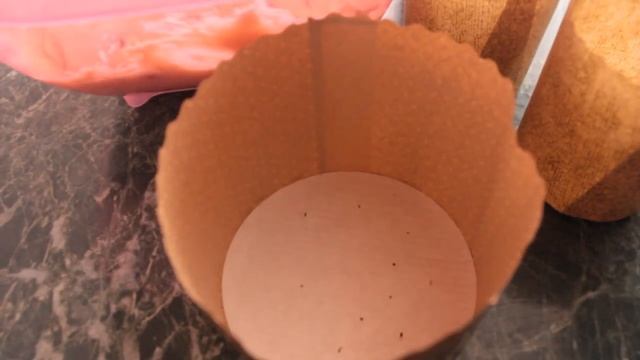 ПАСХАЛЬНЫЙ ТВОРОЖНЫЙ КУЛИЧ БЕЗ ДРОЖЖЕЙ. смотреть онлайн